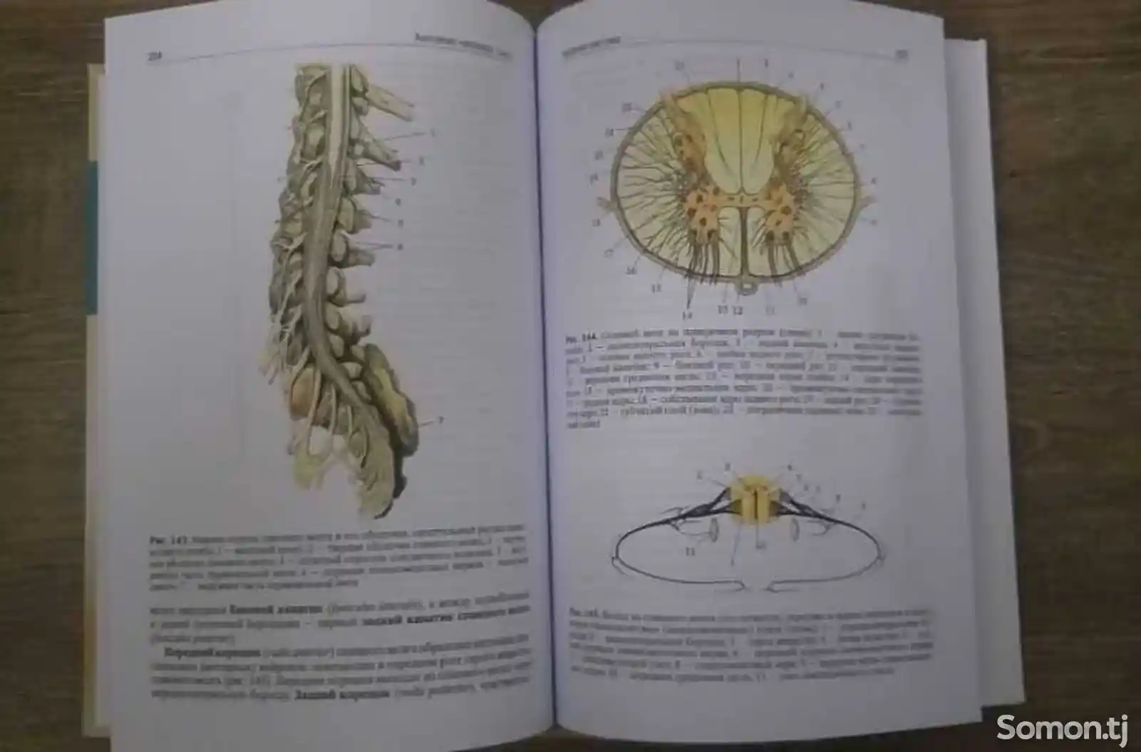 Книга Анатомия Человека Том 1-2-4