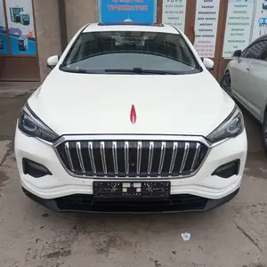 Hongqi E-HS3, 2019