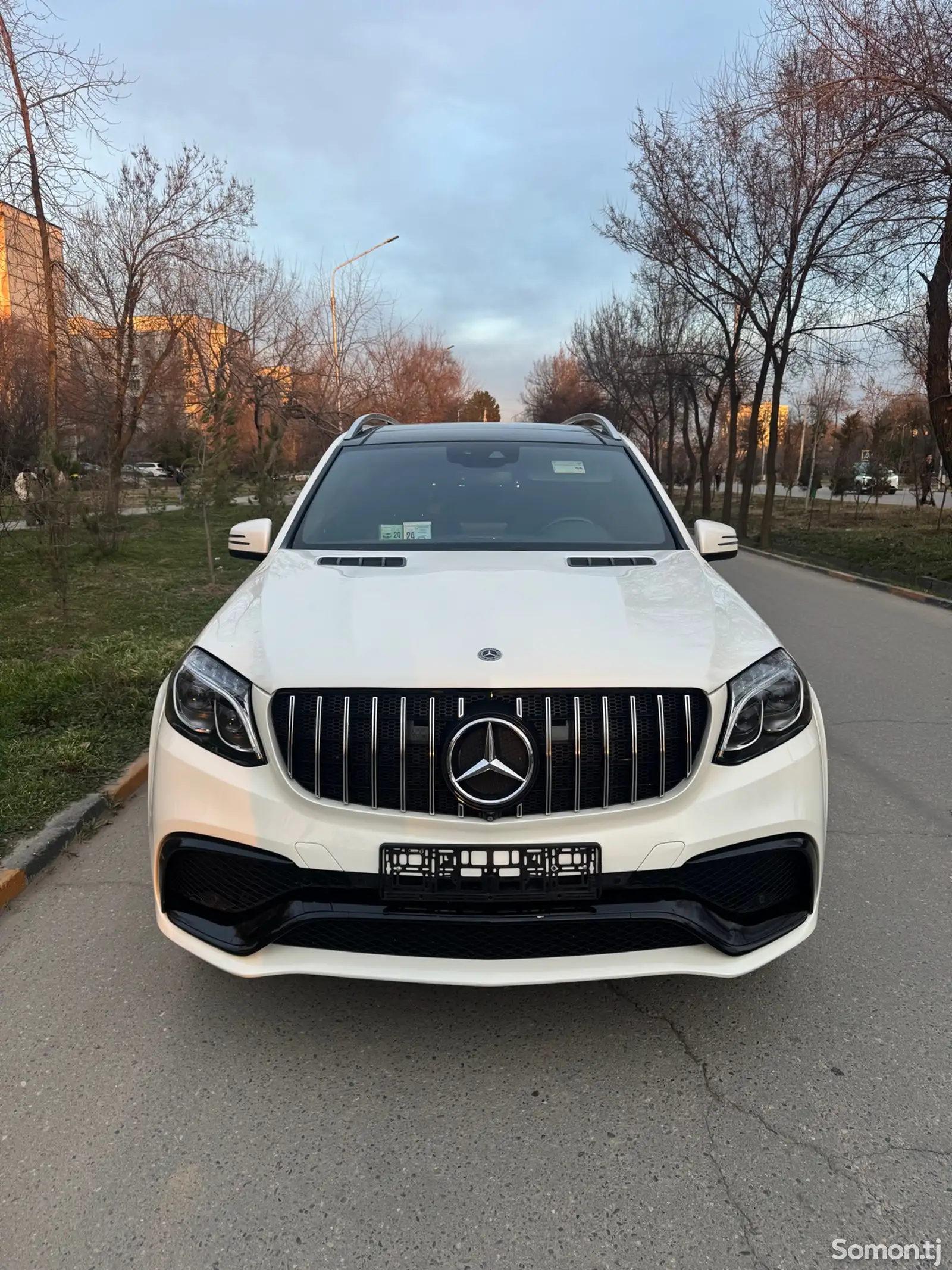 Mercedes-Benz GLS, 2018-1