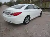 Hyundai Sonata, 2010-4