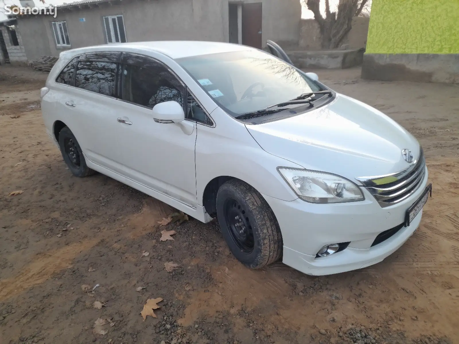 Toyota Mark X ZiO, 2010-1