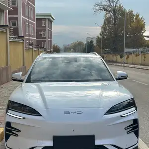 BYD Song Plus Flagship, 2024