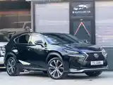 Lexus NX series, 2019-2