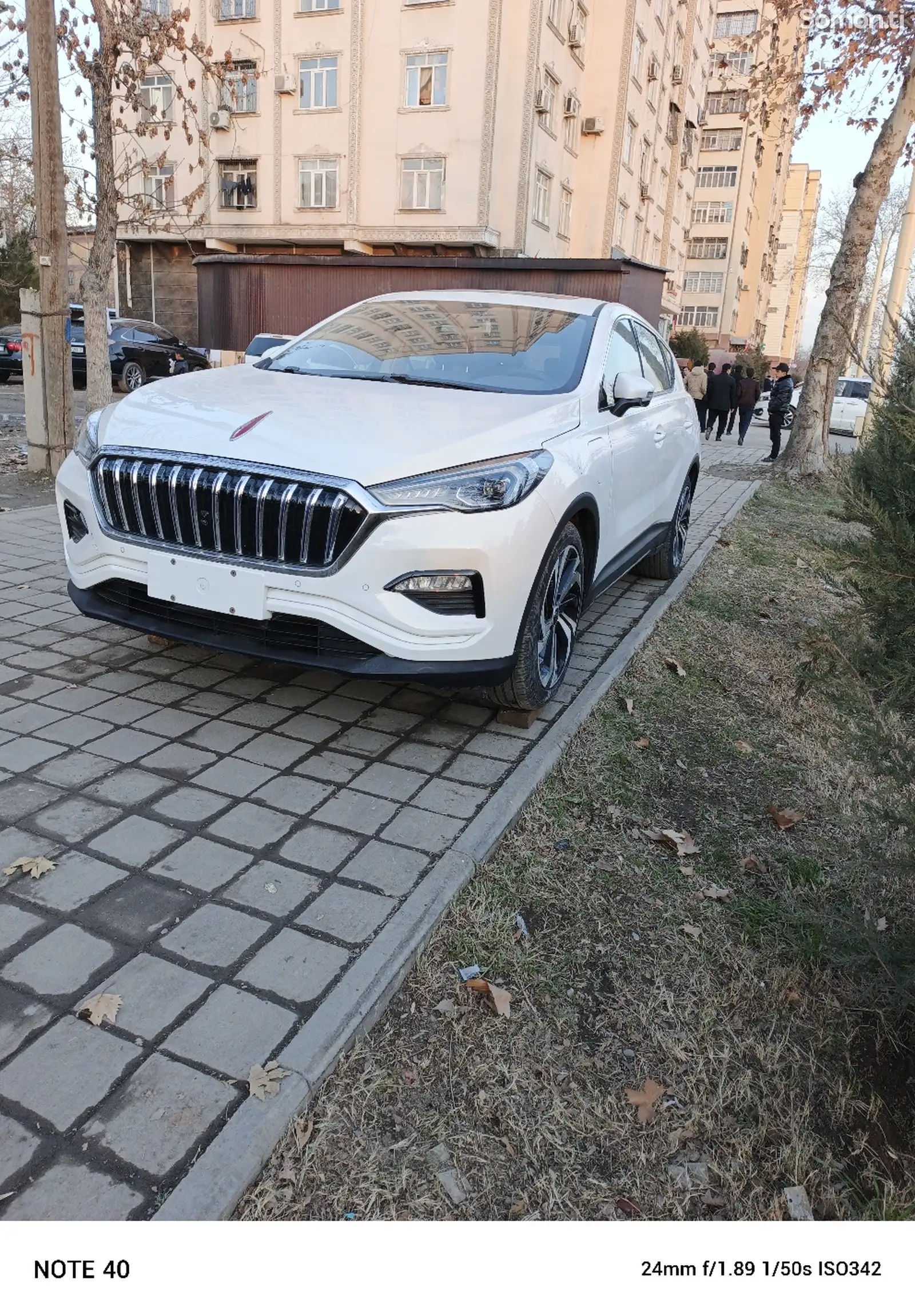 Hongqi HS3, 2019-1