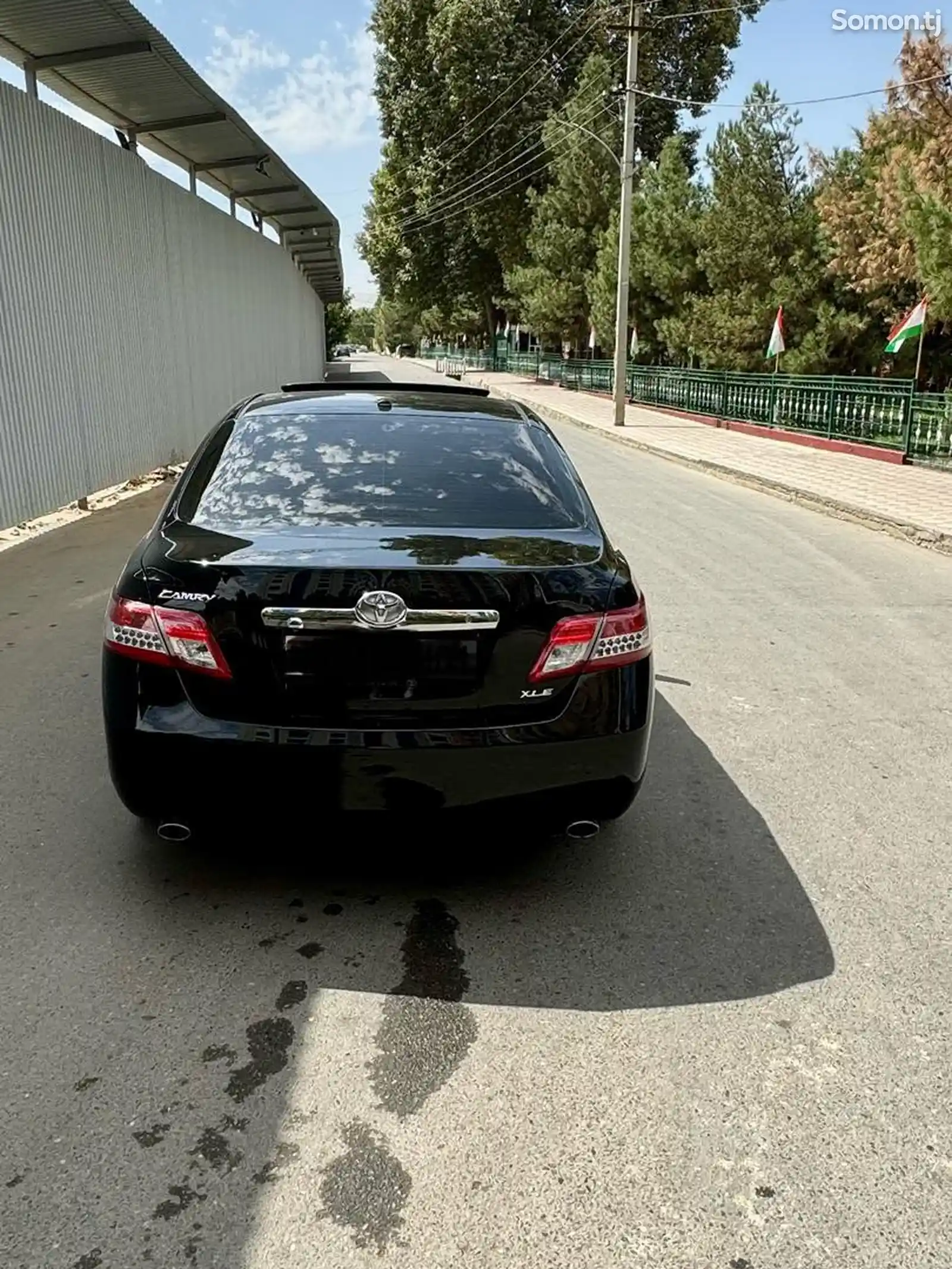 Toyota Camry, 2010-1