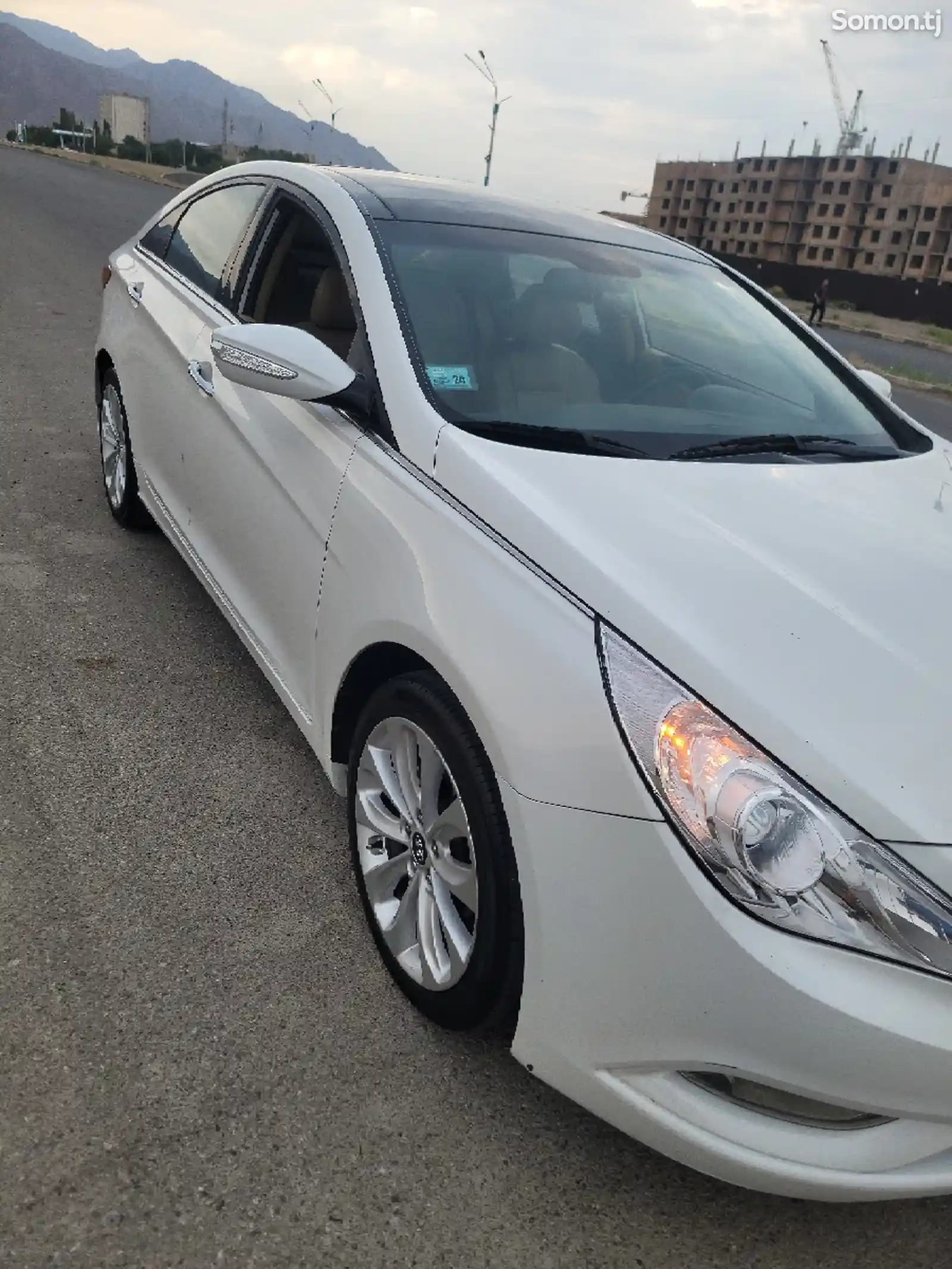 Hyundai Sonata, 2010-3