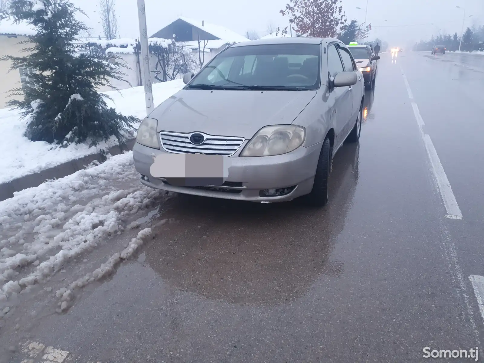 Toyota Corolla, 2004-1