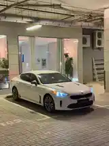 Kia Stinger, 2018-7