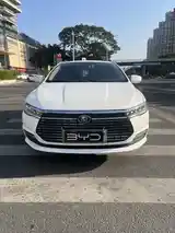 BYD Qin EV, 2023-2