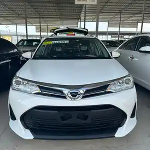 Toyota Fielder, 2018