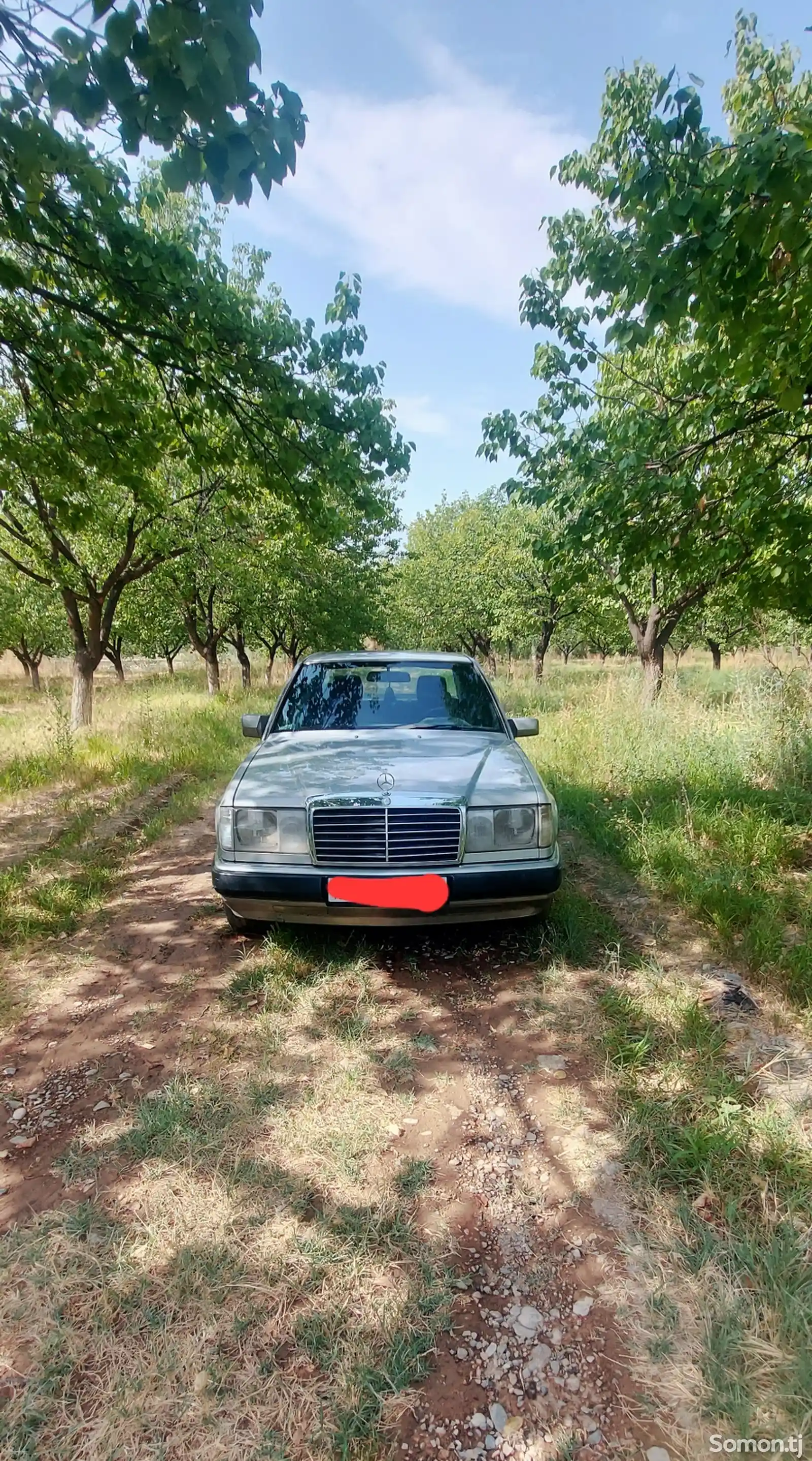 Mercedes-Benz W124, 1990-4