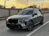 BMW X7, 2023-3