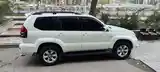 Toyota Land Cruiser Prado, 2008-4