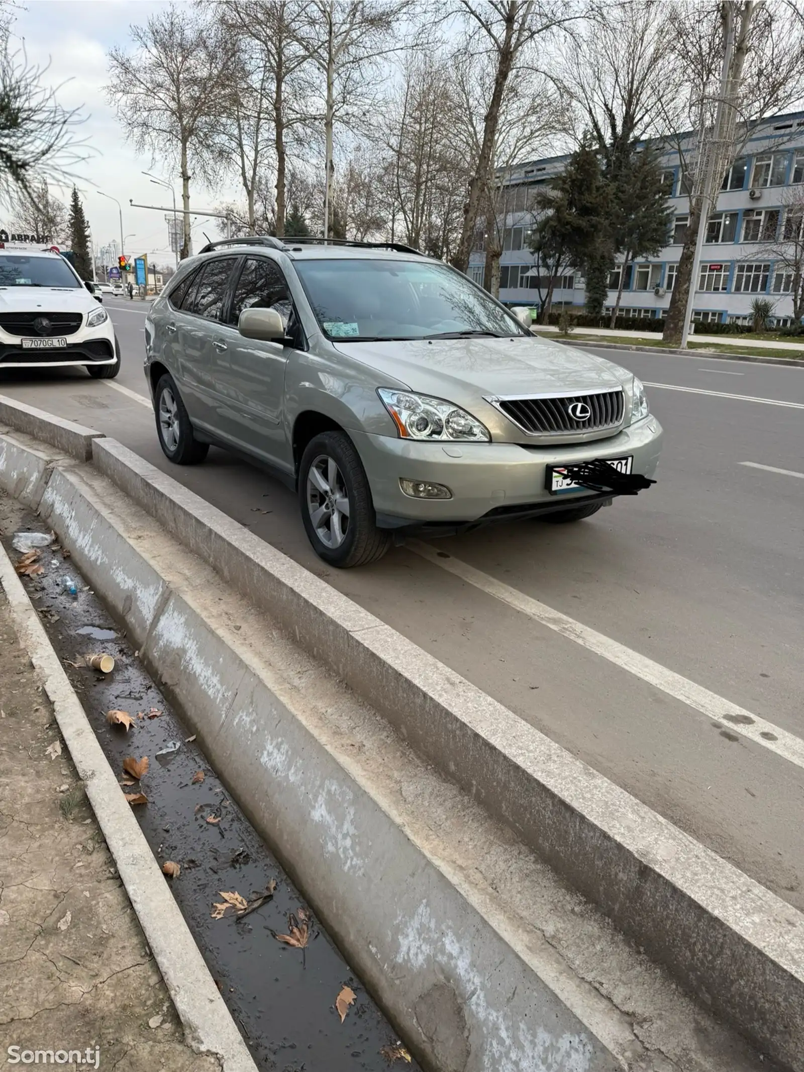 Lexus RX series, 2008-1