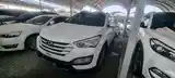 Hyundai Santa Fe, 2014-4