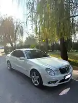 Mercedes-Benz E class, 2008-7