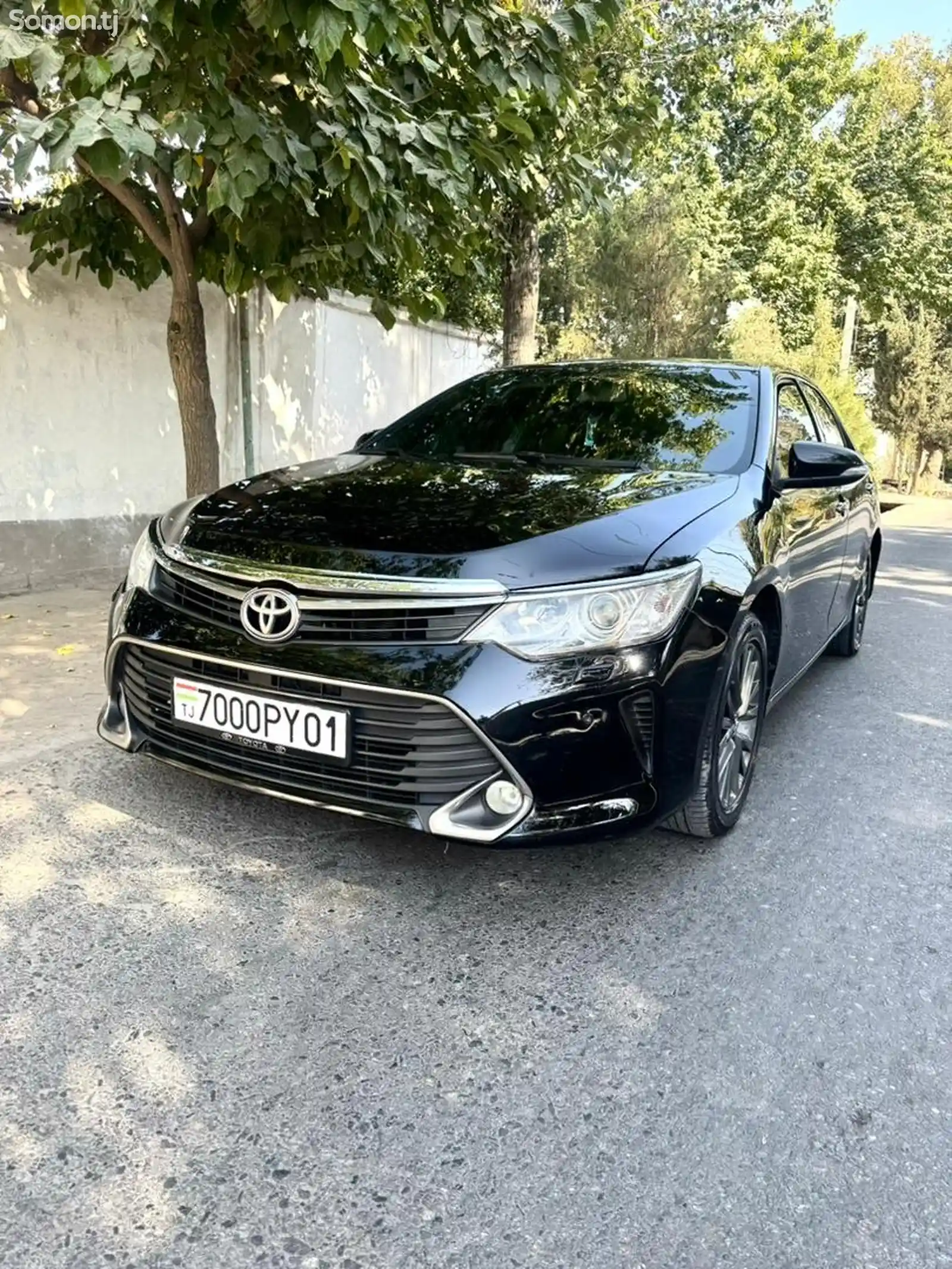 Toyota Camry, 2013-8