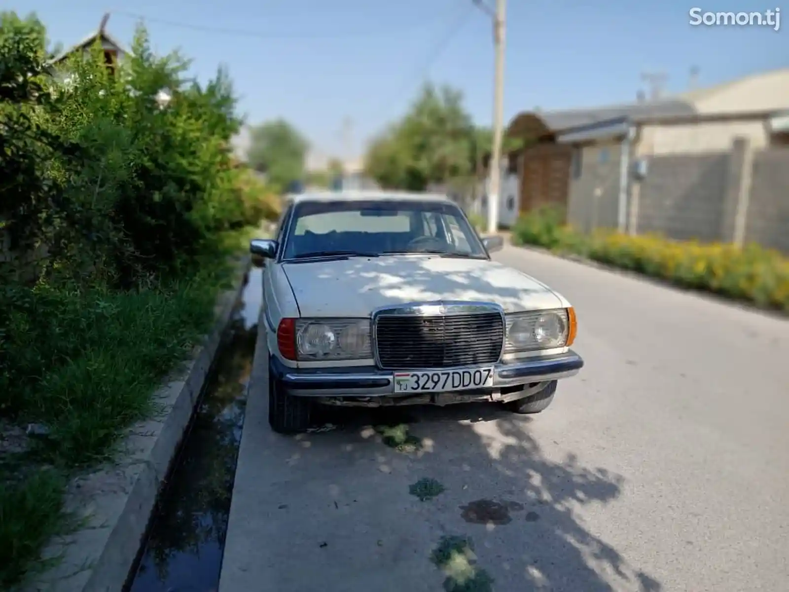 Mercedes-Benz W201, 1981-4