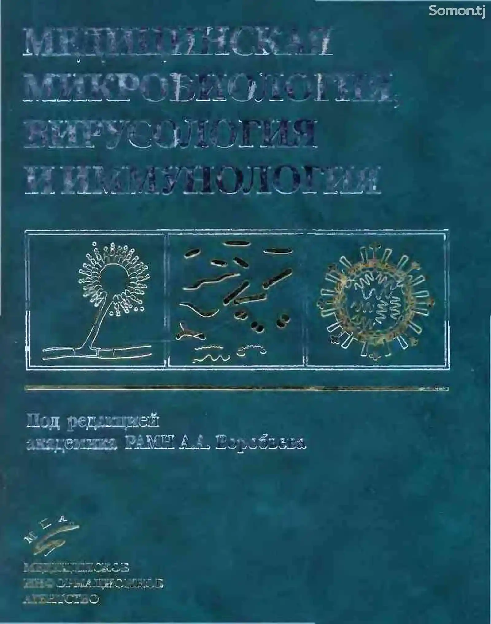 Книга - Медицинская микробиология, вирусология и иммунология-1