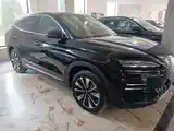 BYD Song Plus Flagship, 2024-2