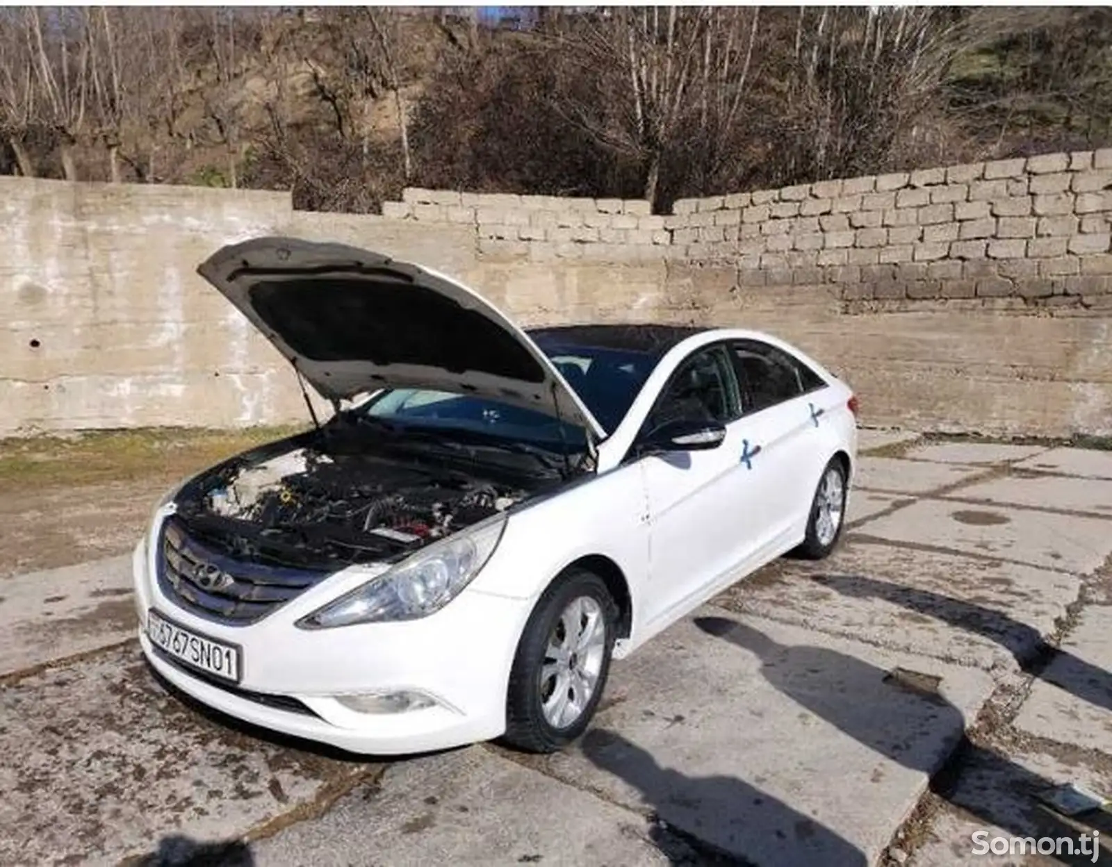 Hyundai Sonata, 2010-1