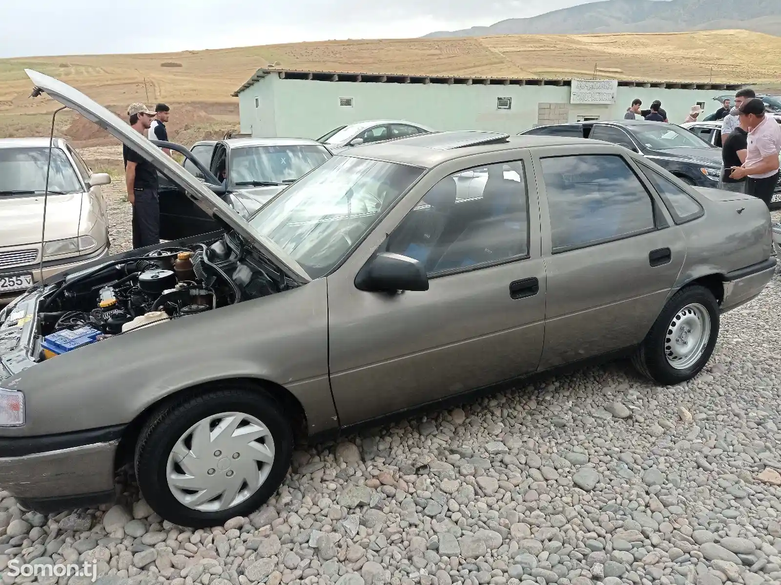 Opel Vectra B, 1992-4