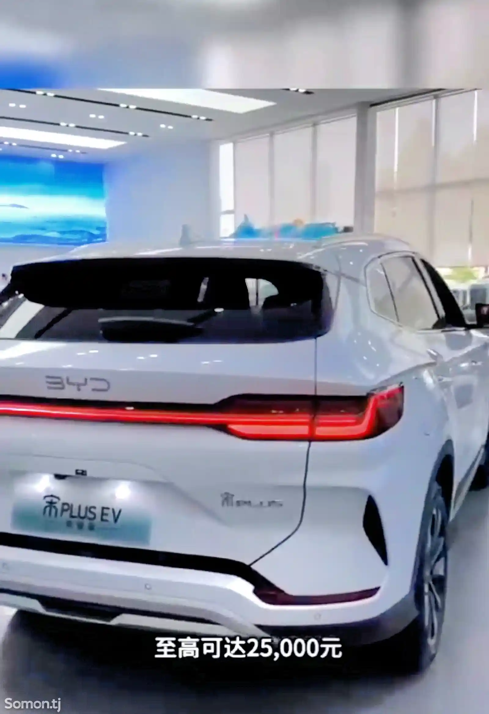 BYD Song Plus Flagship, 2024 на заказ-2