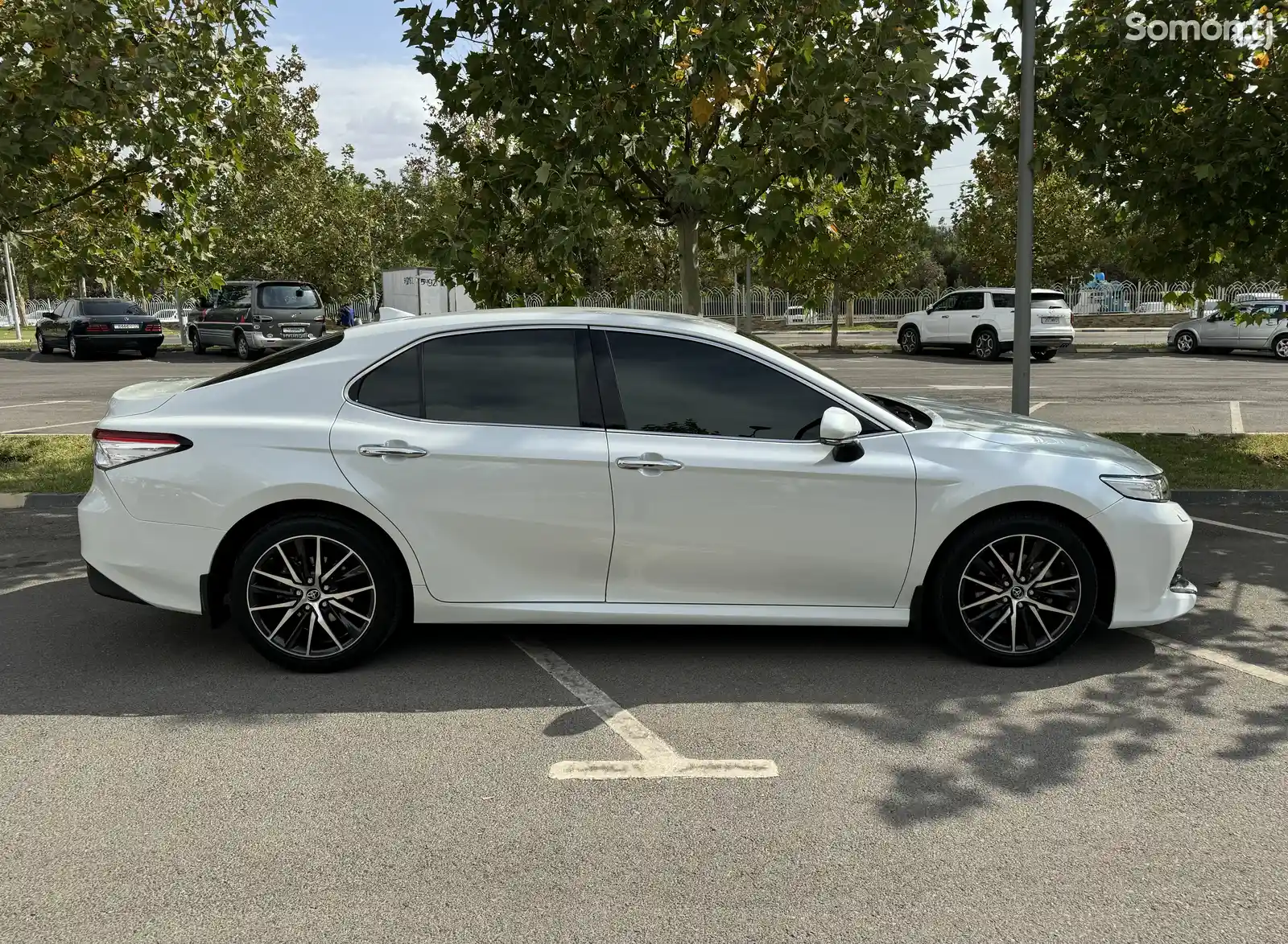 Toyota Camry, 2019-3