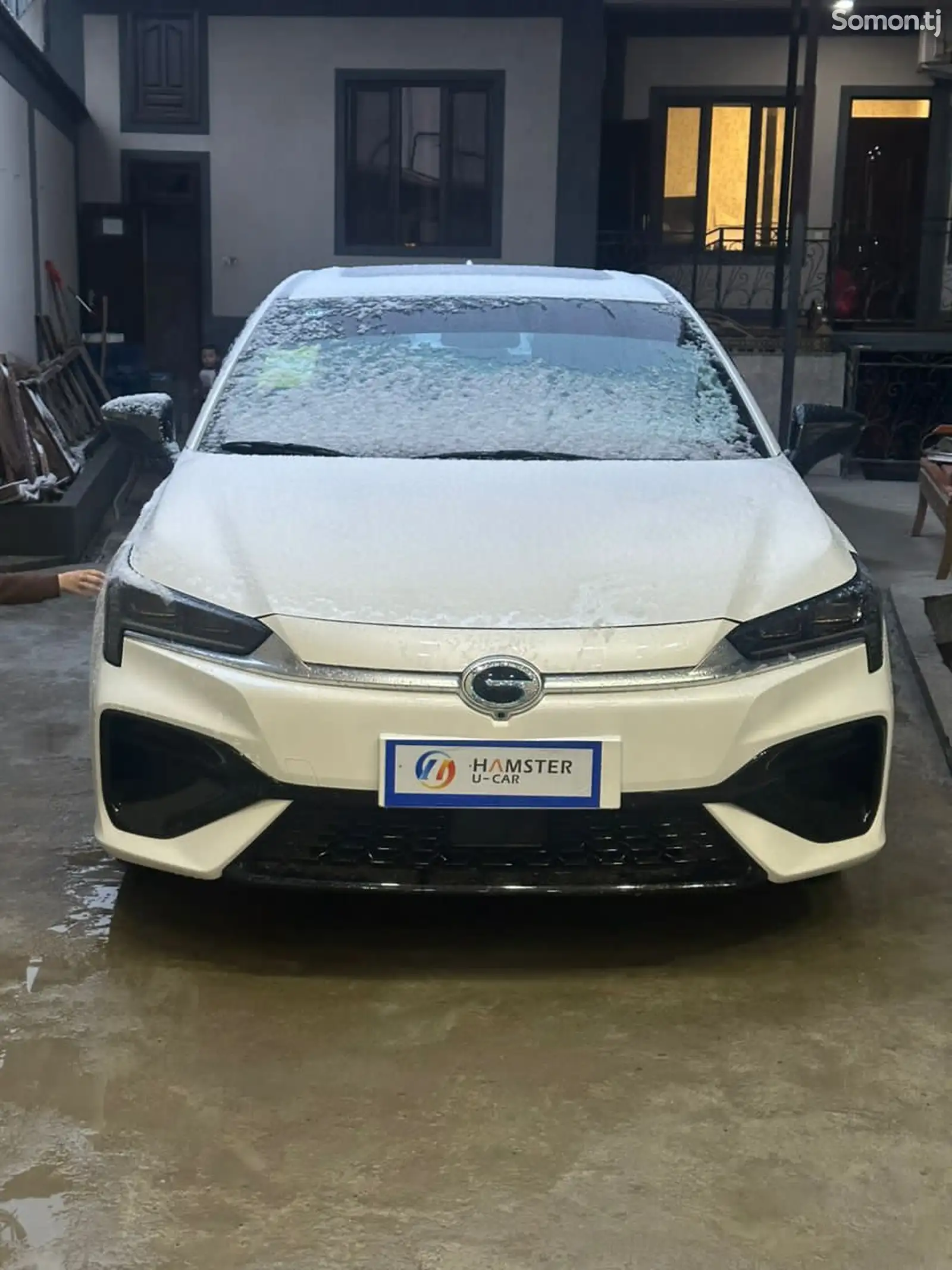 BYD Другие модели, 2024-1