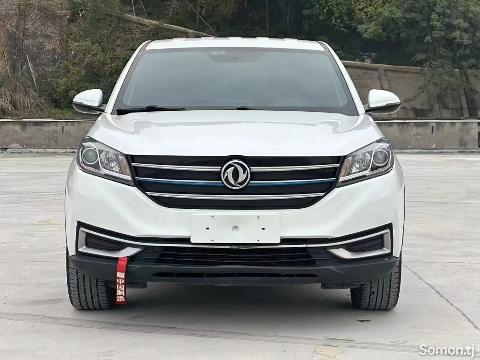 Dongfeng Landian E5, 2020-1