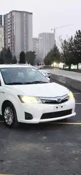 Toyota Axio, 2014-5