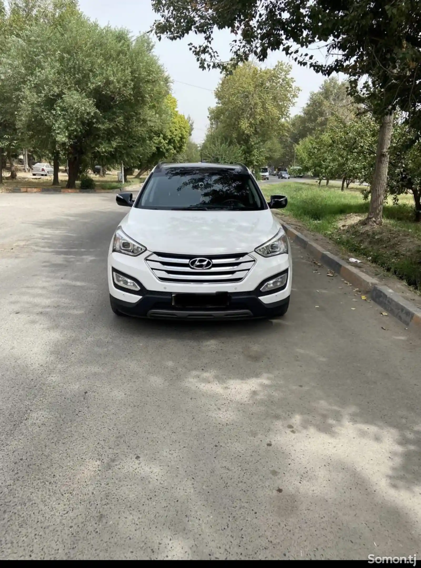 Hyundai Santa Fe, 2014-1