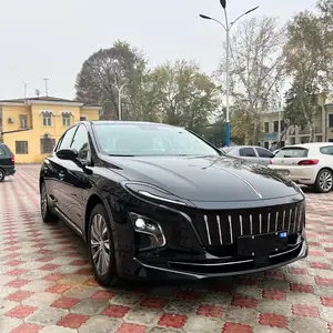 Hongqi E-QM5, 2024