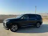 Hyundai Palisade, 2024-3