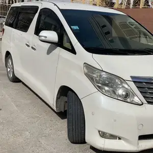 Toyota Alphard, 2010