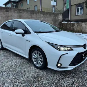 Toyota Corolla, 2024