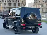 Mercedes-Benz G class, 2017-5