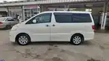 Toyota Alphard, 2006-2