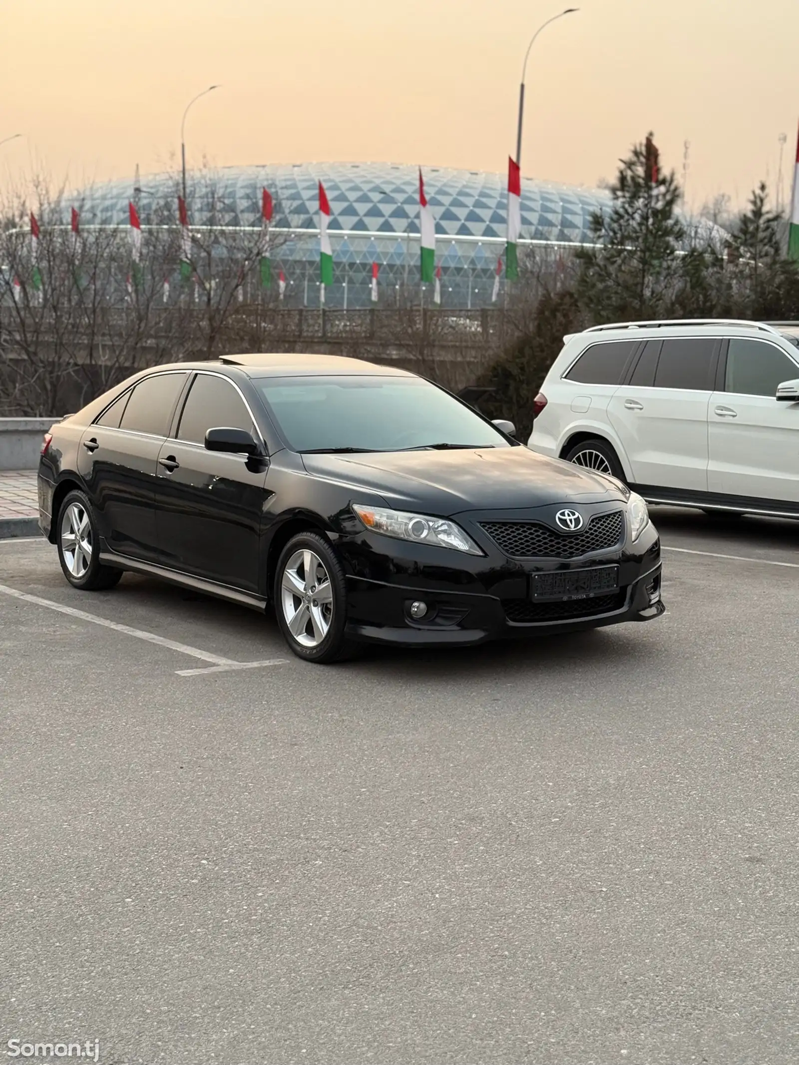 Toyota Camry Gracia, 2010-1