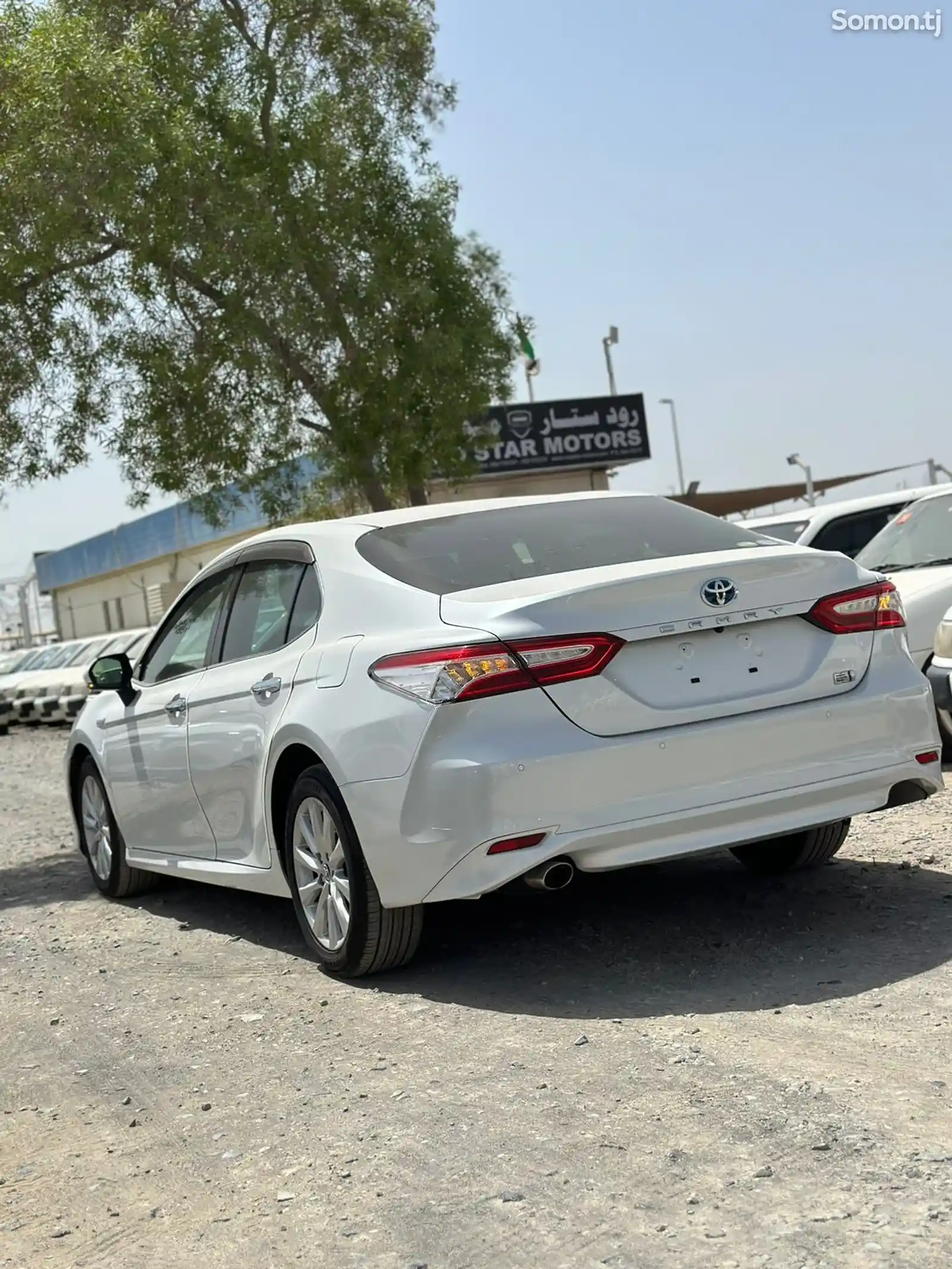 Toyota Camry, 2019-5