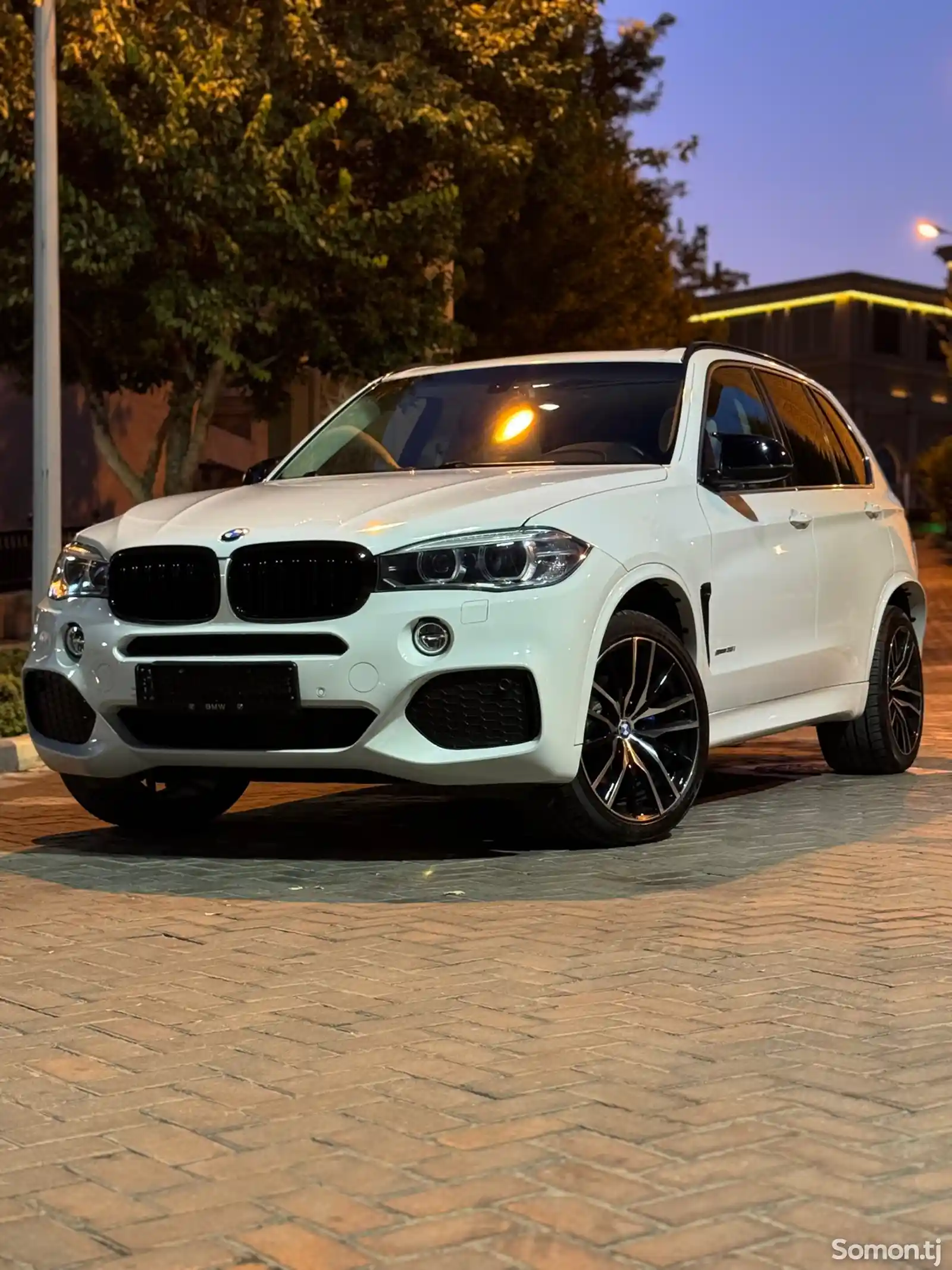 BMW X5, 2014-1