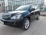 Lexus RX series, 2008-6