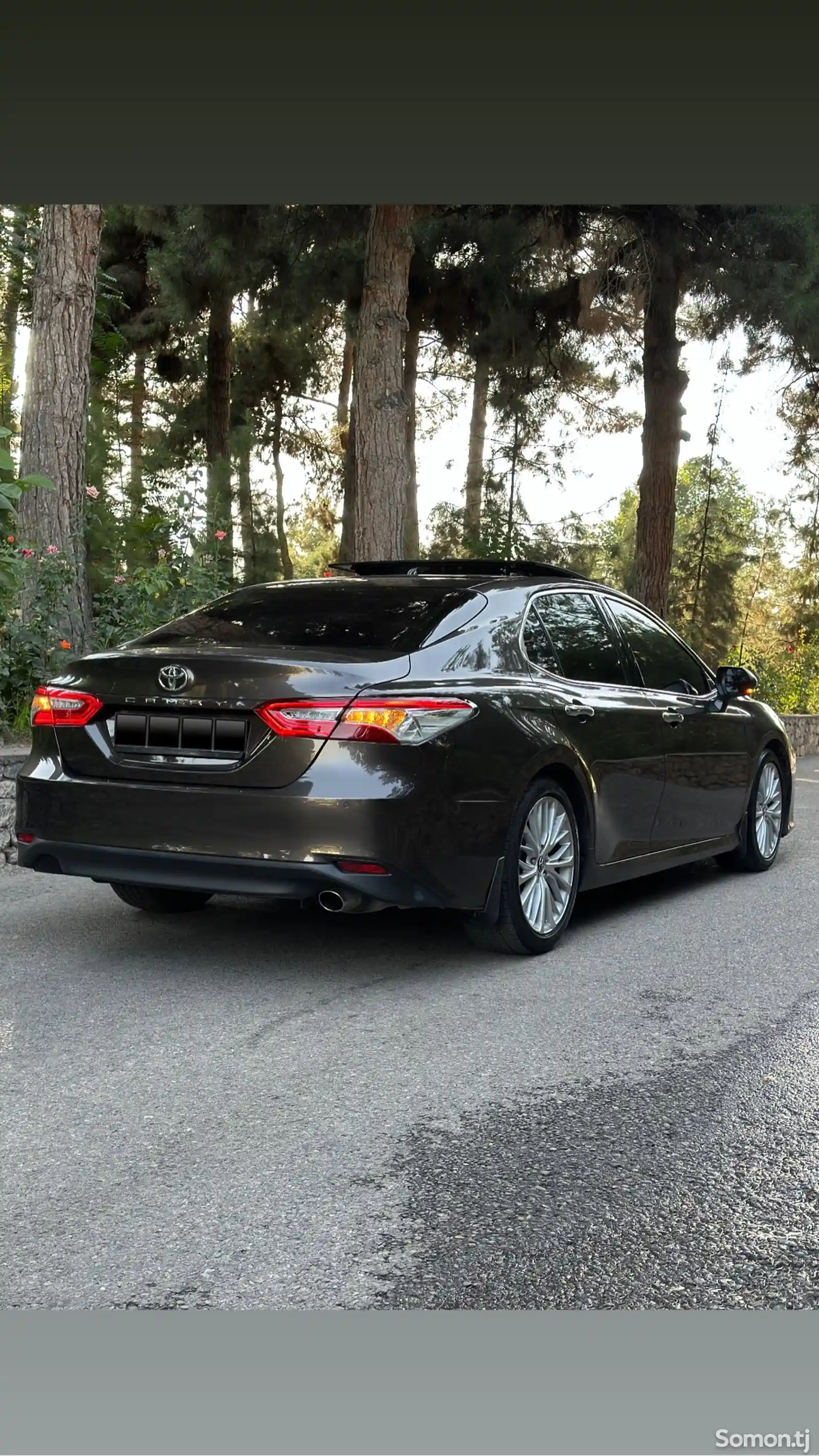 Toyota Camry, 2019-5