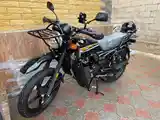 Мотоцикл GLX-SUZUKI - 150cc куба-10