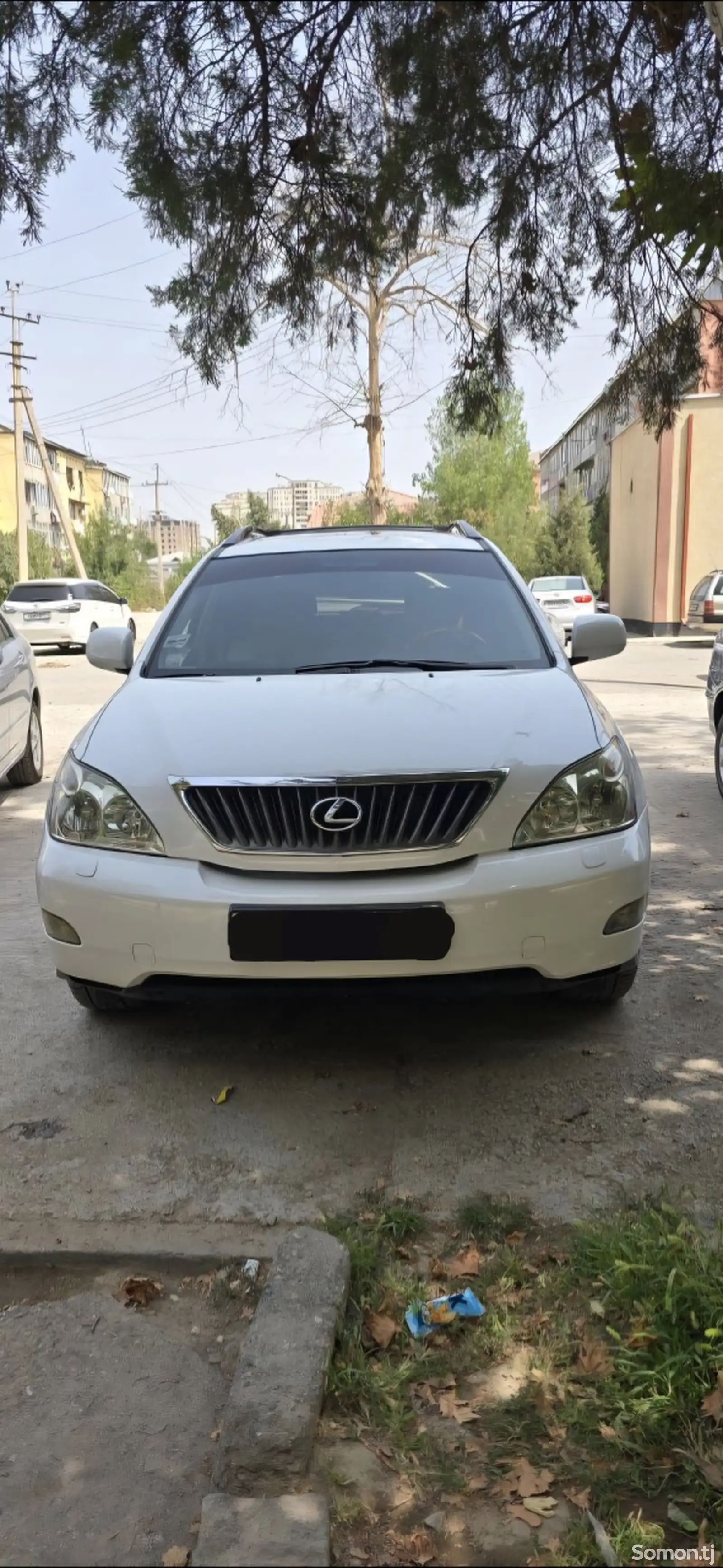 Lexus RX series, 2007-1