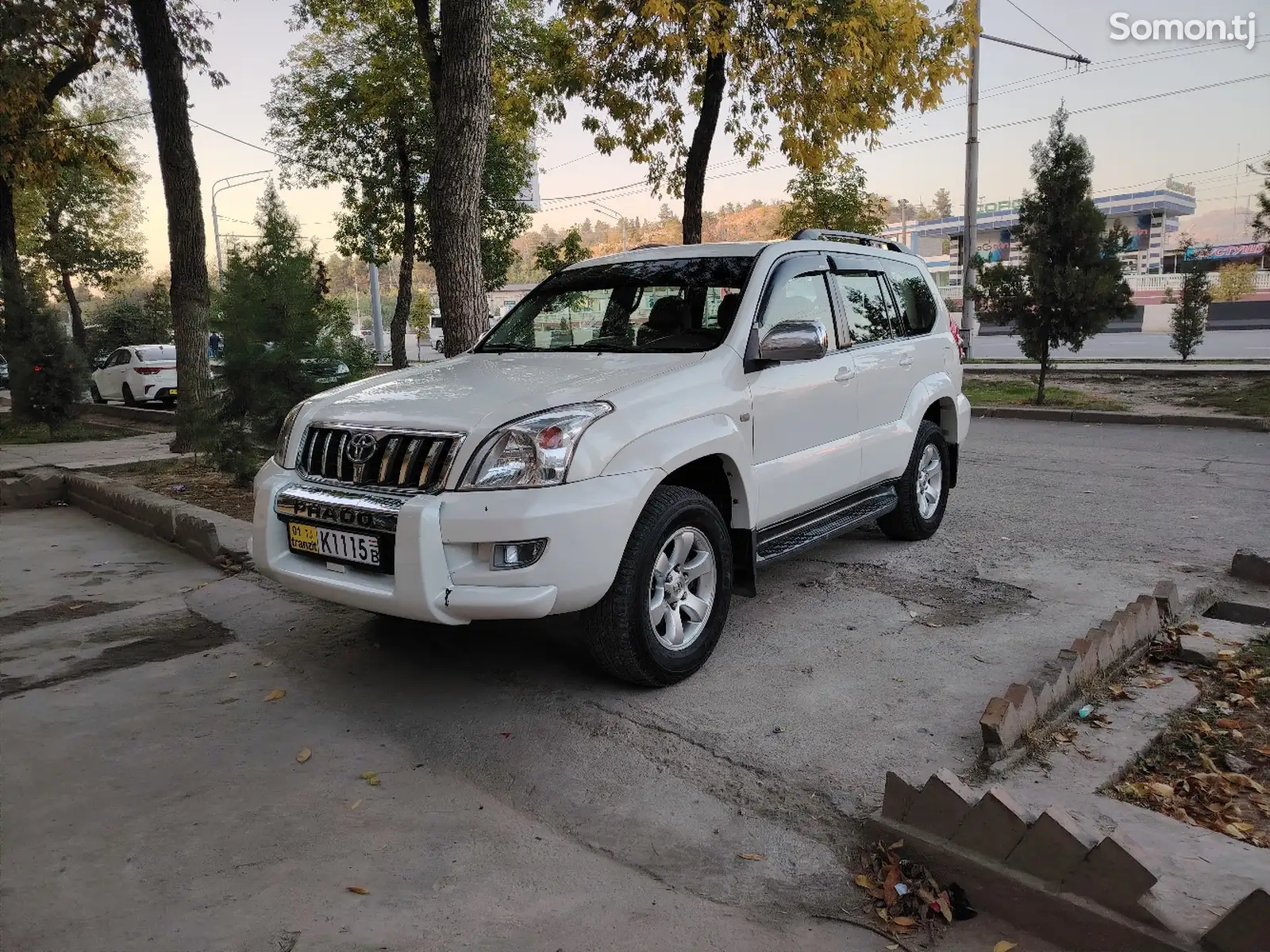 Toyota Land Cruiser Prado, 2007-5