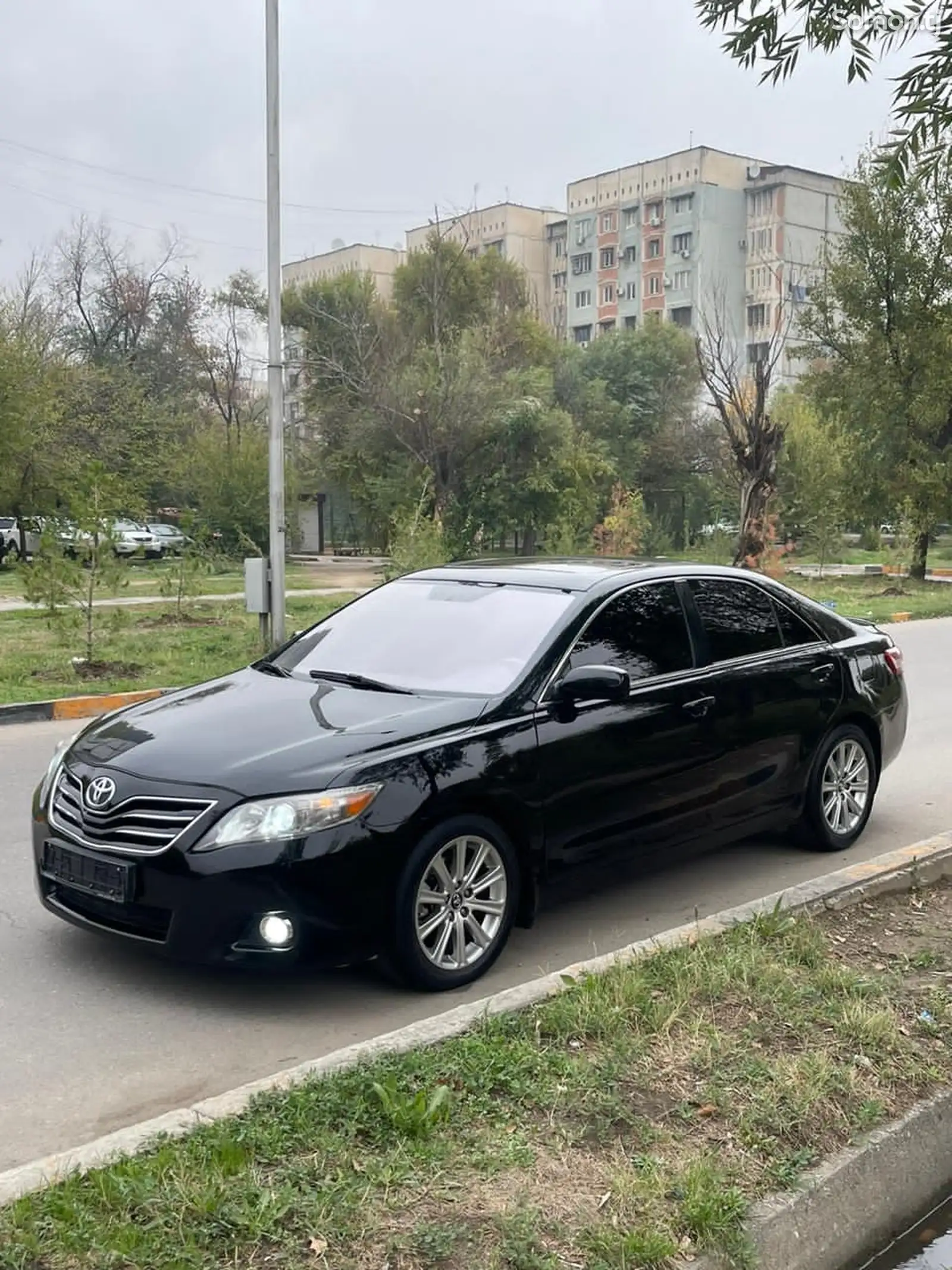 Toyota Camry, 2010-7