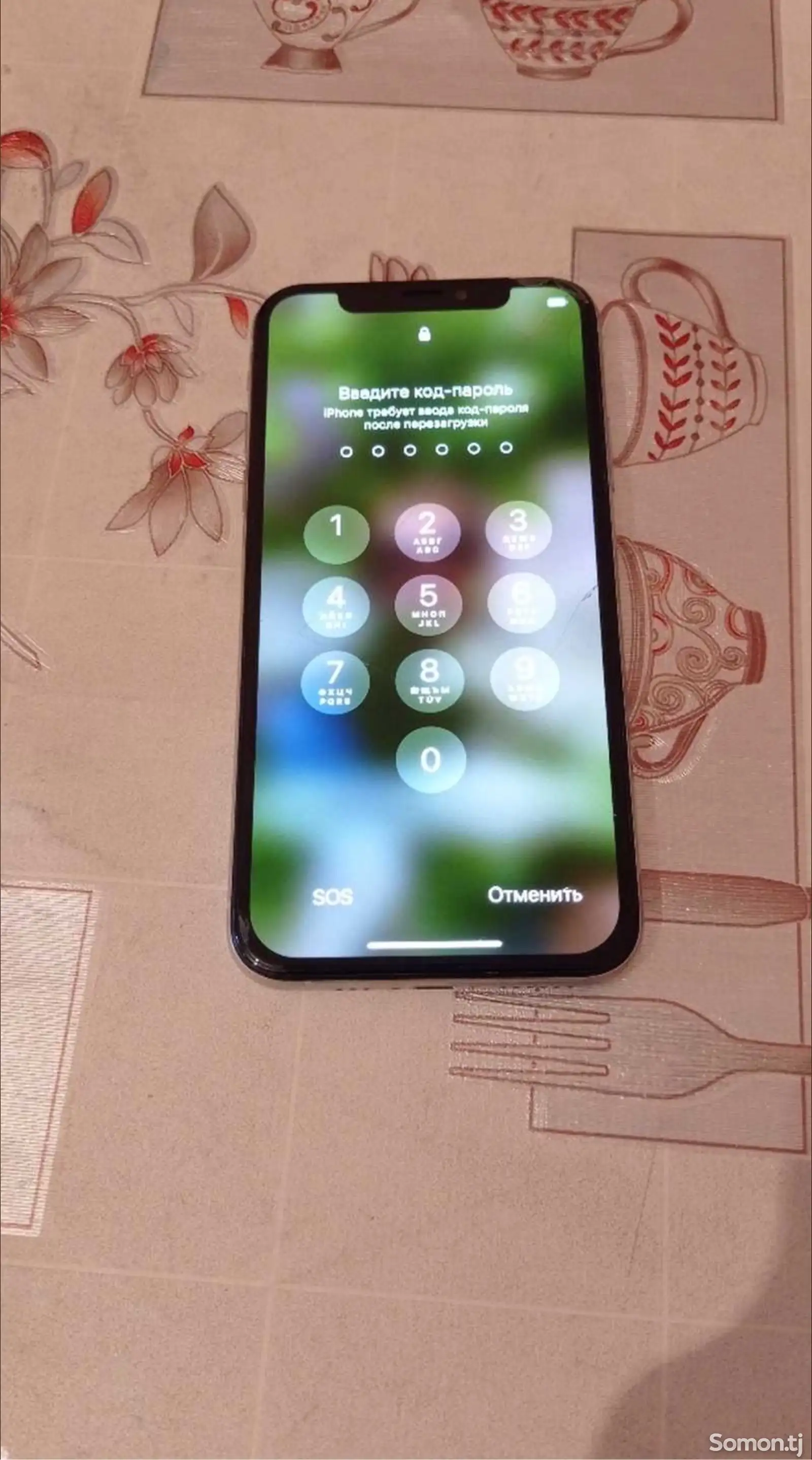 Apple iPhone X, 256 gb, Silver-1