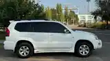 Toyota Land Cruiser Prado, 2007-5