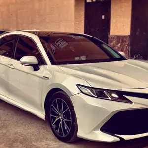 Toyota Camry, 2019